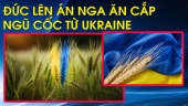 Bộ Trưởng Đức nói: Nga ăn cắp ngũ cốc từ Ukraine là một hình thức chiến tranh đáng kinh tởm